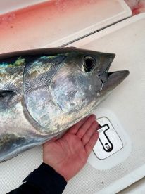 Fantastic fishing trip Coronado Island