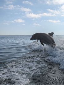 Wonderful and memorable fishing trip!