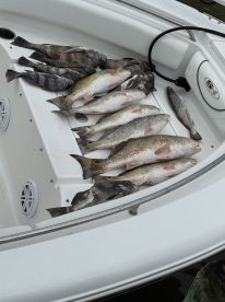 Outstanding day on the water!