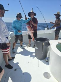 Amazing experience!!