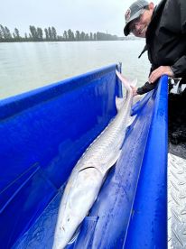 High energy fishing! Great Captan!!