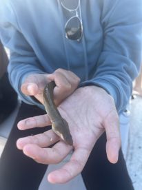 Great trip with my kids!