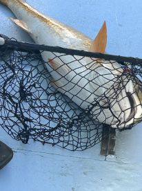 Last Minute Booking, lifetime of memories