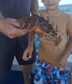 Nice trip,  a lot of action for acceptable price