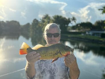 Had a great time with Captain Keith took his land fishing price was awesome we caught peacocks maylans even hooked and caught tarpon