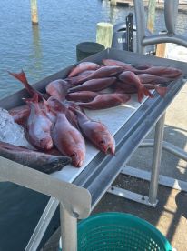  Captain Mike is awesome. 