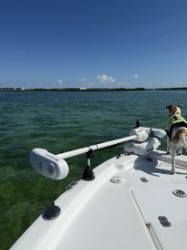 Awesome day diving for lobster