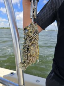 Best salt water fishing ever done