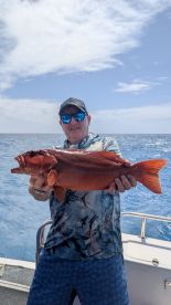 Grand Day Out on Serranidae