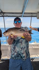 Grand Day Out on Serranidae