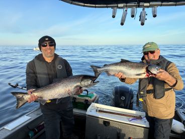 Exceeded expectations