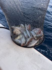 Nice Trip for beginners and Family