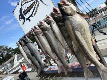 CANT WAIT TO BOOK AGAIN!!