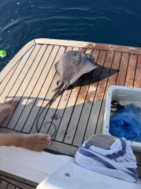 Great all round  local knowledge and boat .. 