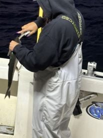 Better than I could have imagined 