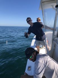 Professional Captain