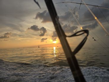 Absolutely great!!!!