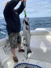 5 stars all around ! book a trip ! DO IT