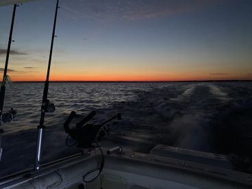 5 stars all around ! book a trip ! DO IT