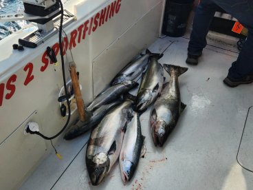 Great captain and crew