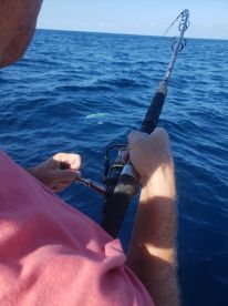 Captain Jim put us on the Mahi