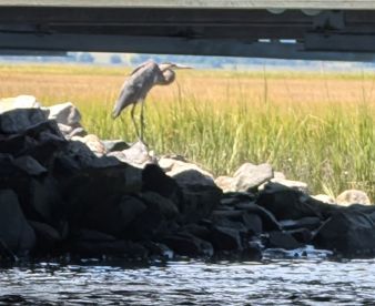 Best part of vacation 