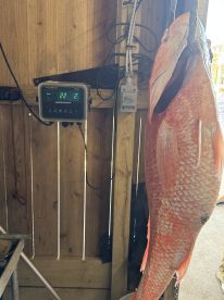 Best fishing trip I’ve been on!