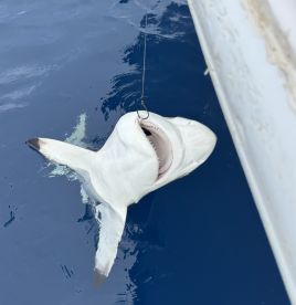 Best fishing trip I’ve been on!