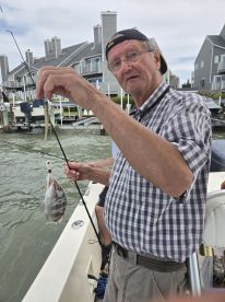 Felt Like Fishing with Friends!