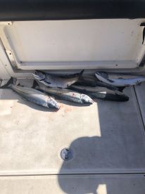 Awesome day of fishing