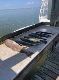 We had a fantastic time with Captain Jay