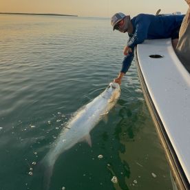 Tarpon Fishing Dreams came true!!
