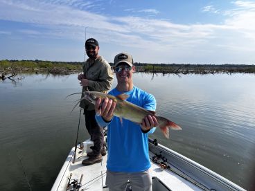 Big fish bigger experiences loved it