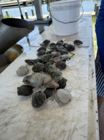 Great day on the water