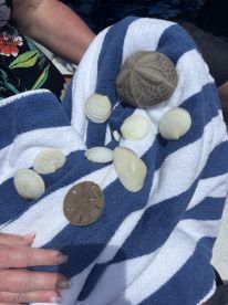 So many activities in just 4 hours!