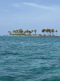 So many activities in just 4 hours!