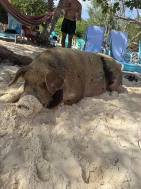 So many activities in just 4 hours!