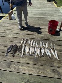 Good for a rough day out