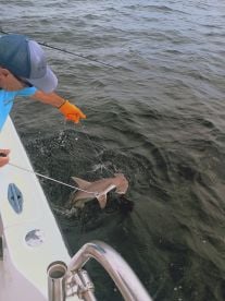 Great Trip! 10/10 would recommend!