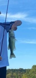 Great trip, fully recommend 