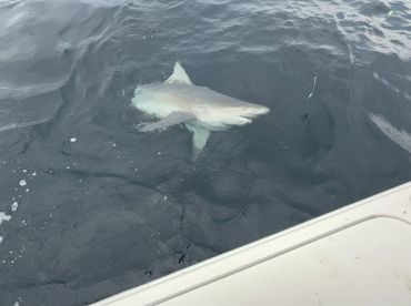 Best 30th Birthday trip ever! 