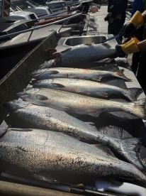 Great day for fishing!!