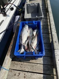 Great day for fishing!!