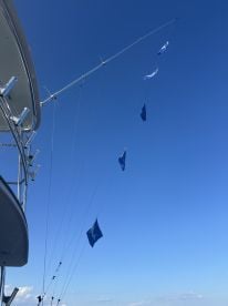 Great Trip, Highly Recommend