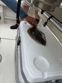 Beautiful Great Bay morning 