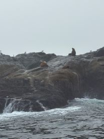 Bucket List Item - Fufilled! 