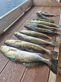 Captain Nile is great. Amazing trip.