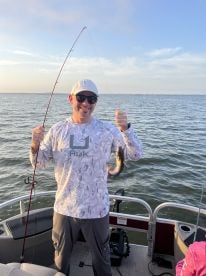 Personable & Communicable