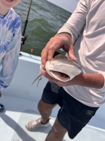 Mark and Jake were excellent!