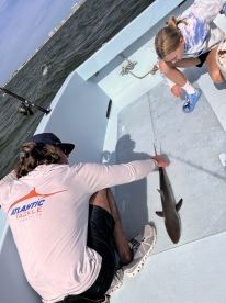 Mark and Jake were excellent!